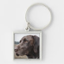 Search for animal body part key rings Usa