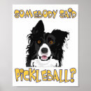 Search for funny pickleball posters Pickleballer