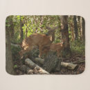 Search for deer photo blankets Nature
