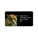 Search for jaguar return address labels Cat