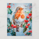 Search for robin painting postcards Nature