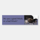 Search for porcupine bumper stickers Animals