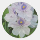 Search for hyacinth stickers Bloom