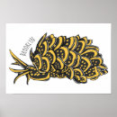 Search for slug posters Gastropod
