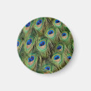 Search for pheasant magnets Peafowl