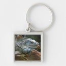 Search for iguana key rings Cute