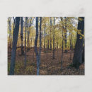 Search for plant trees postcards Autumn