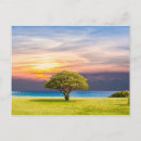 Search for sea view postcards Scenery