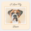 Search for boxer stickers Fawn