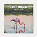 Search for sultan magnets Turkey