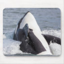 Search for orca killer whale mousepads Ocean