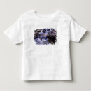 Search for creek fall tshirts Stream