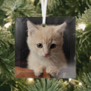 Search for orange kitten christmas tree decorations Pet