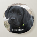 Search for black lab cushions Cute dog
