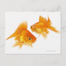 Search for creatures other Sealife