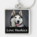 Search for siberian puppies key rings Huskies