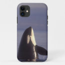 Search for orca iphone cases Wildlife