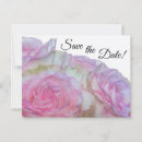 Search for rose background postcards Beautiful