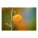 Search for pod posters Macro