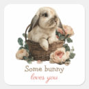 Search for some bunny loves you stickers Valentines