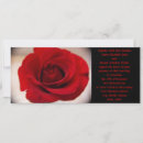 Search for marriages photography Flower
