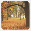 Search for large format stickers Fall