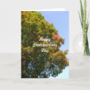 Search for autumn tree cards Trees