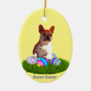 Search for bully pet supplies Puppy