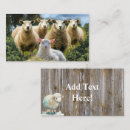 Search for flocking business cards Sheep