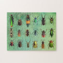 Search for beetle puzzles Entomology