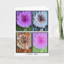 Search for panel cards Flowers