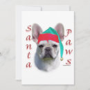 Search for santa paws cards Dog