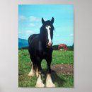 Search for shire horse posters Draught