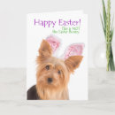 Search for funny yorkie cards Animal