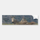 Search for zebra bumper stickers Africa
