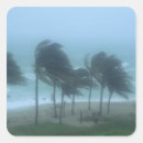 Search for hurricane stickers Florida