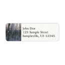 Search for snowy trees return address labels Nature
