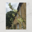 Search for chipping postcards England