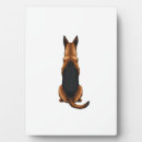 Search for german shepherd photo display Dog
