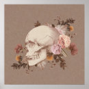 Search for skeleton anatomy posters Skull
