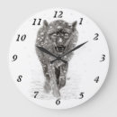 Search for wolf clocks Lobo
