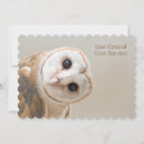 Search for owl flat cards Birds