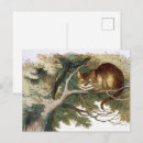 Search for curiouser postcards Curiouser and curiouser