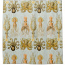 Search for squid shower curtains Tentacles