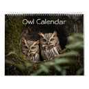 Search for owl calendars Wildlife