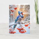 Search for blue jay cards Winter