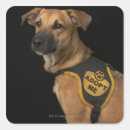 Search for rescue dog stickers Animals