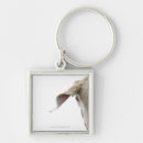 Search for weimaraner key rings Vertical