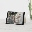 Search for cow get well cards Funny