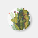 Search for cacti magnets Summer